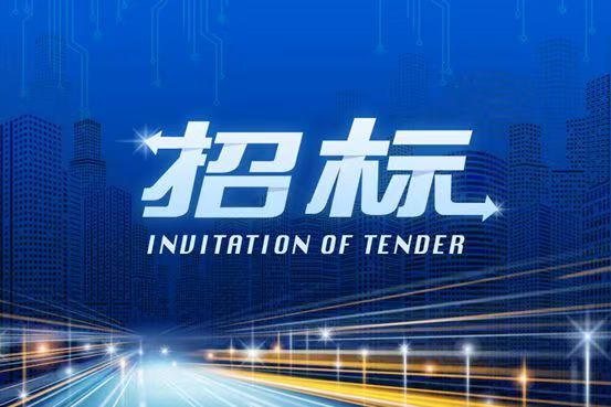 中标公告 | 1071万公共停车及配套设施建设项目中标公示