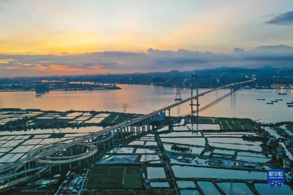 香港回归25周年|粤港澳大湾区建设迈出坚实步伐
